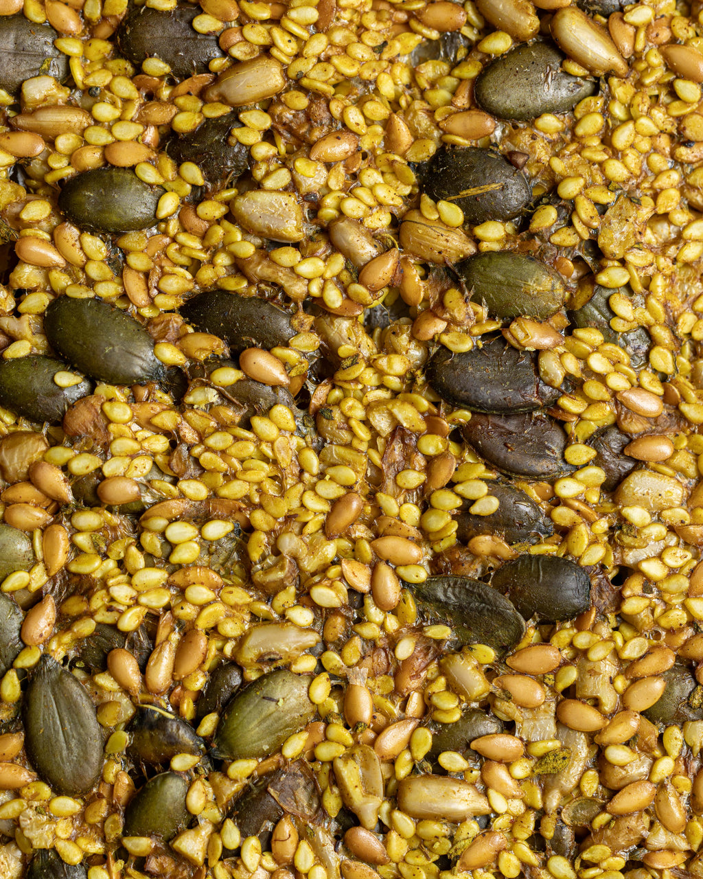 Organic Gluten-Free Activated Seeded Crackers