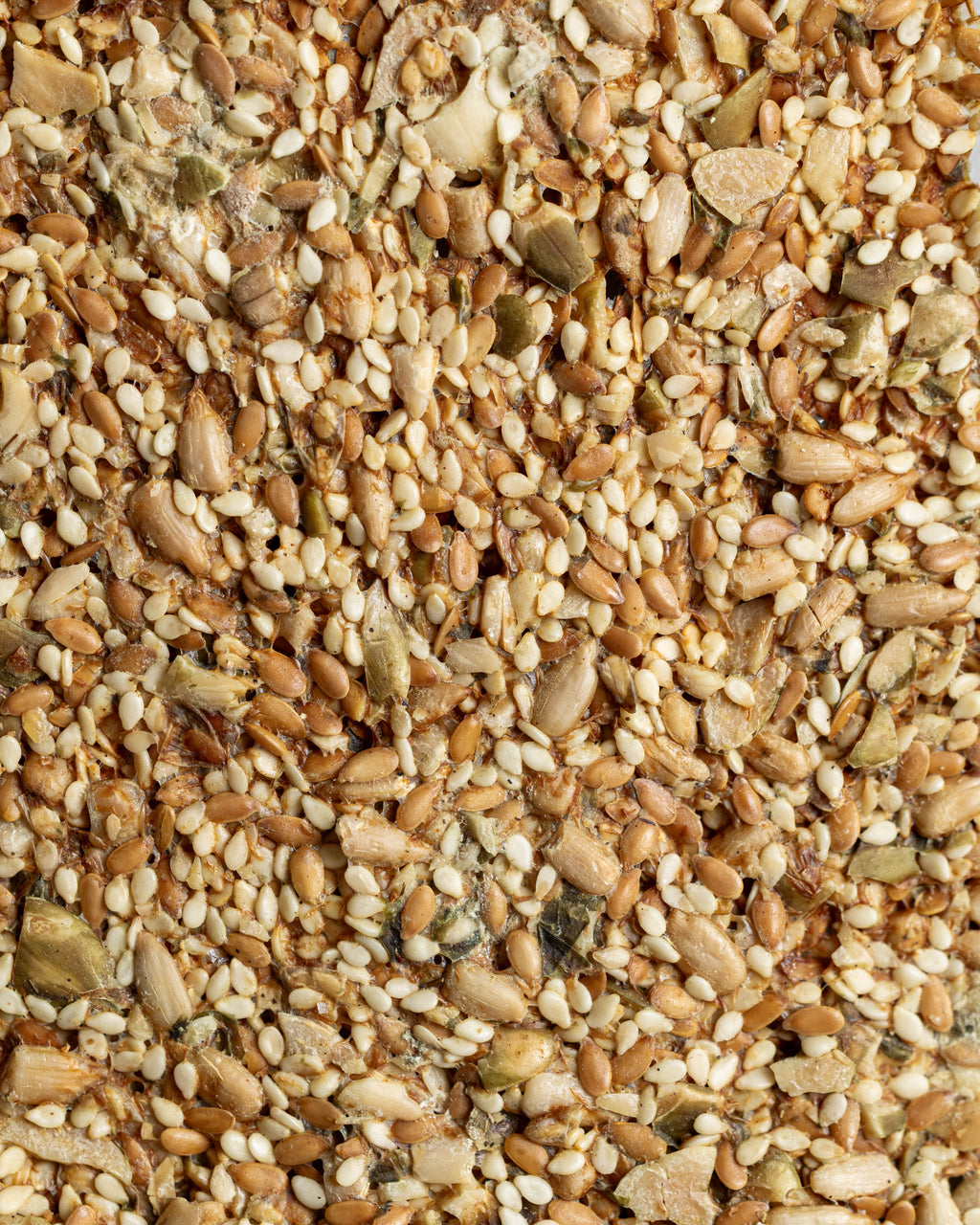 Organic Gluten-Free Activated Seeded Crackers | Salt & Vinegar