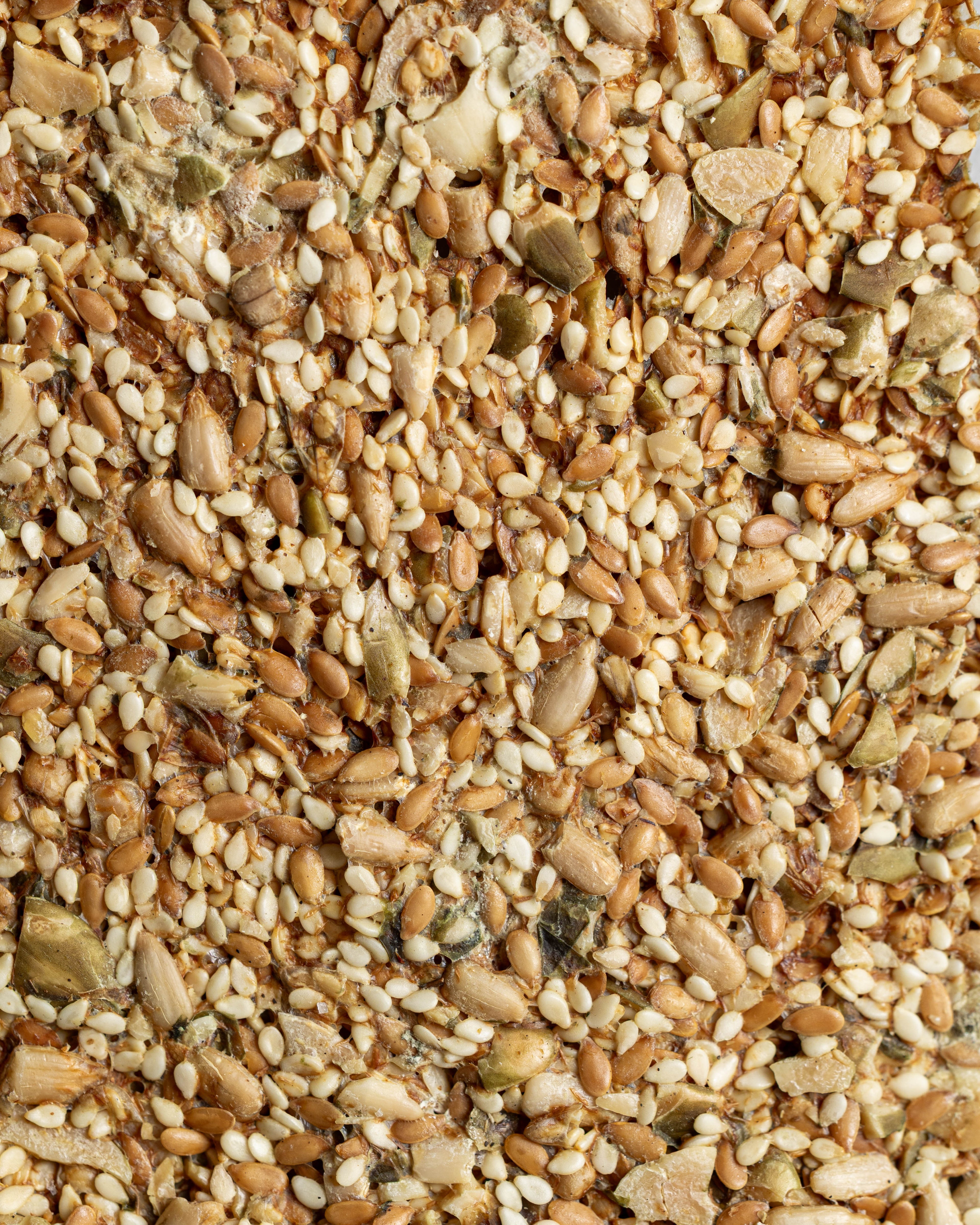 Organic Gluten-Free Activated Seeded Crackers | Salt & Vinegar